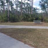 Review photo of Long Pine Key Campground — Everglades National Park by Jean C., February 26, 2020