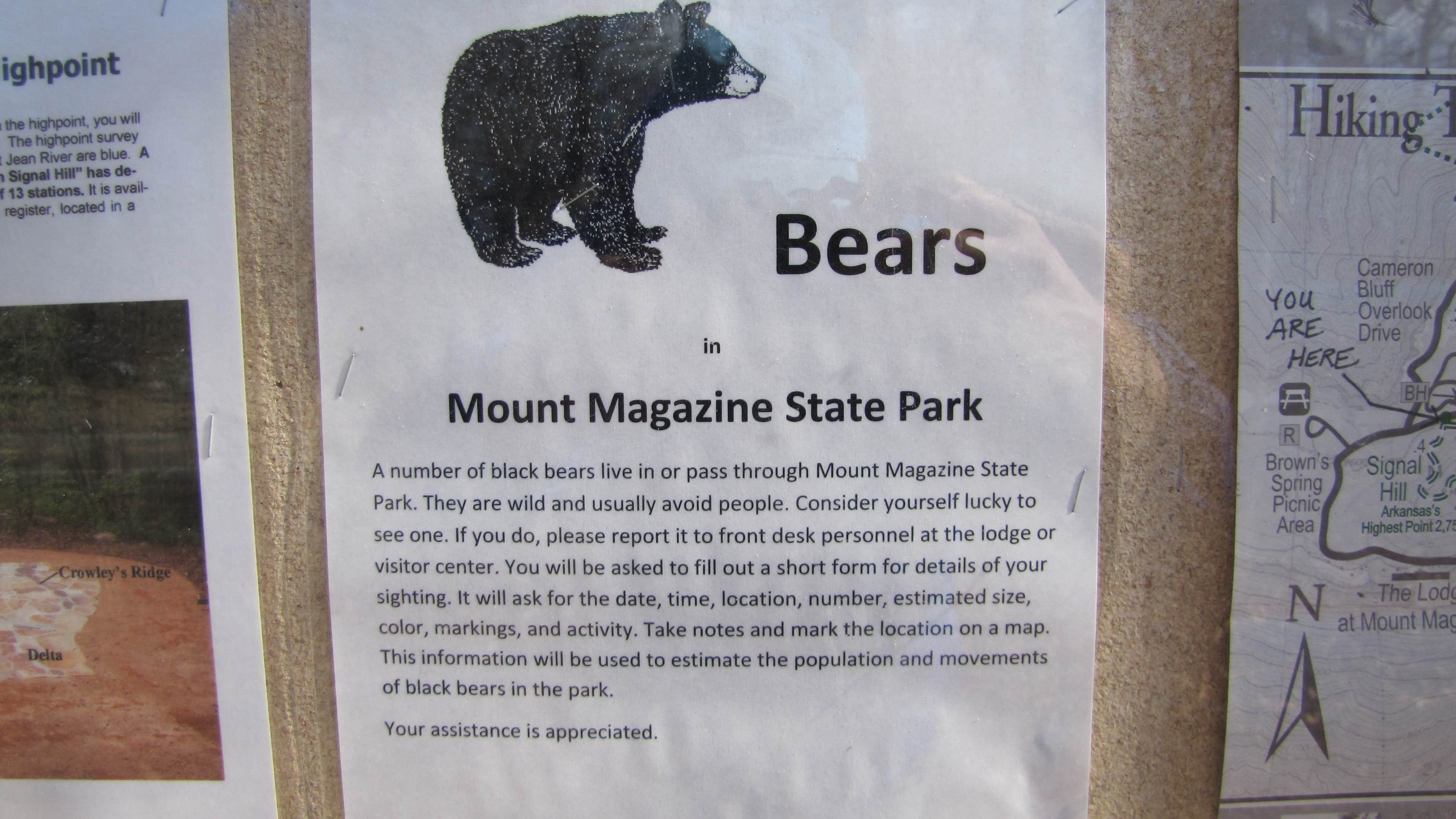 Camper submitted image from Mount Magazine State Park Campground - 3
