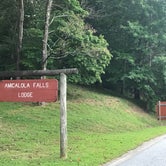 Review photo of Amicalola Falls State Park Camping by Dave V., September 1, 2017
