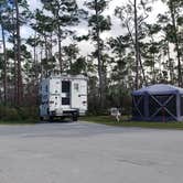 Review photo of Long Pine Key Campground — Everglades National Park by Jean C., February 26, 2020