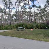 Review photo of Long Pine Key Campground — Everglades National Park by Jean C., February 26, 2020