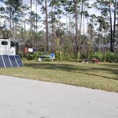 Review photo of Long Pine Key Campground — Everglades National Park by Jean C., February 26, 2020