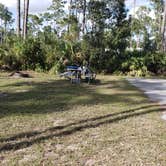 Review photo of Long Pine Key Campground — Everglades National Park by Jean C., February 26, 2020