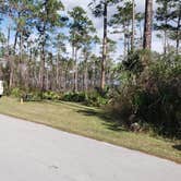 Review photo of Long Pine Key Campground — Everglades National Park by Jean C., February 26, 2020