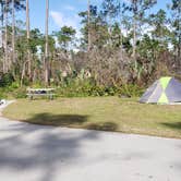 Review photo of Long Pine Key Campground — Everglades National Park by Jean C., February 26, 2020