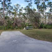 Review photo of Long Pine Key Campground — Everglades National Park by Jean C., February 26, 2020