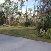 Review photo of Long Pine Key Campground — Everglades National Park by Jean C., February 26, 2020