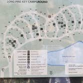 Review photo of Long Pine Key Campground — Everglades National Park by Jean C., February 26, 2020