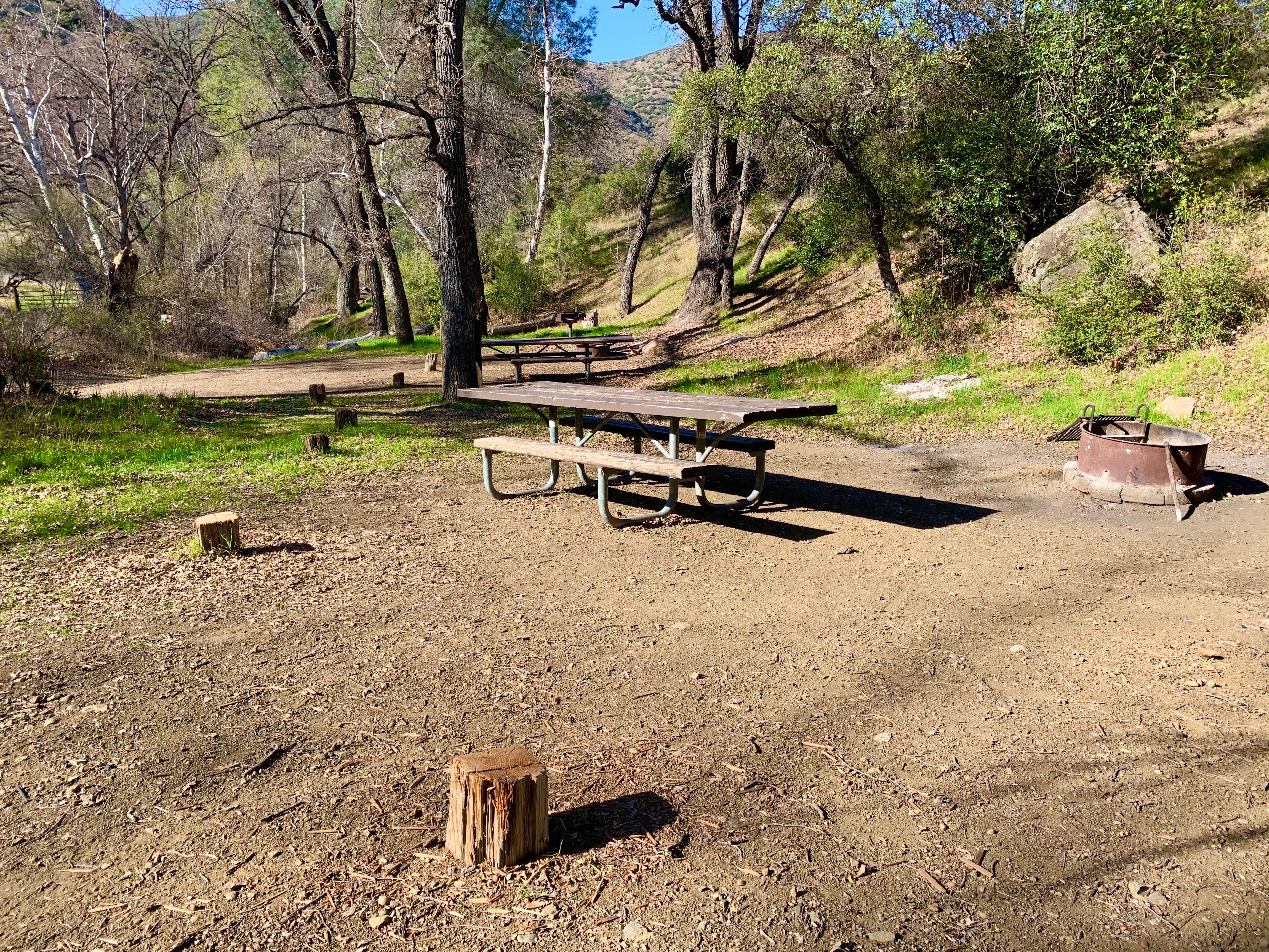 Camper submitted image from Davy Brown Campground - 2