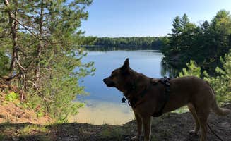 Art S.'s photo of camping with pets at Seaton Creek Campground near Huron-Manistee National Forests