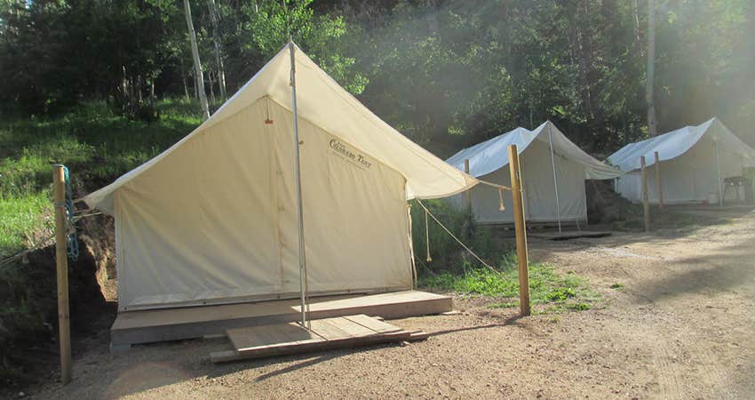 Camper submitted image from Aspen Acres Campground - 5