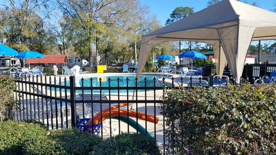 Camper submitted image from Starke-Gainesville NE KOA - 3