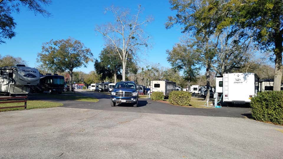 Camper submitted image from Starke-Gainesville NE KOA - 4