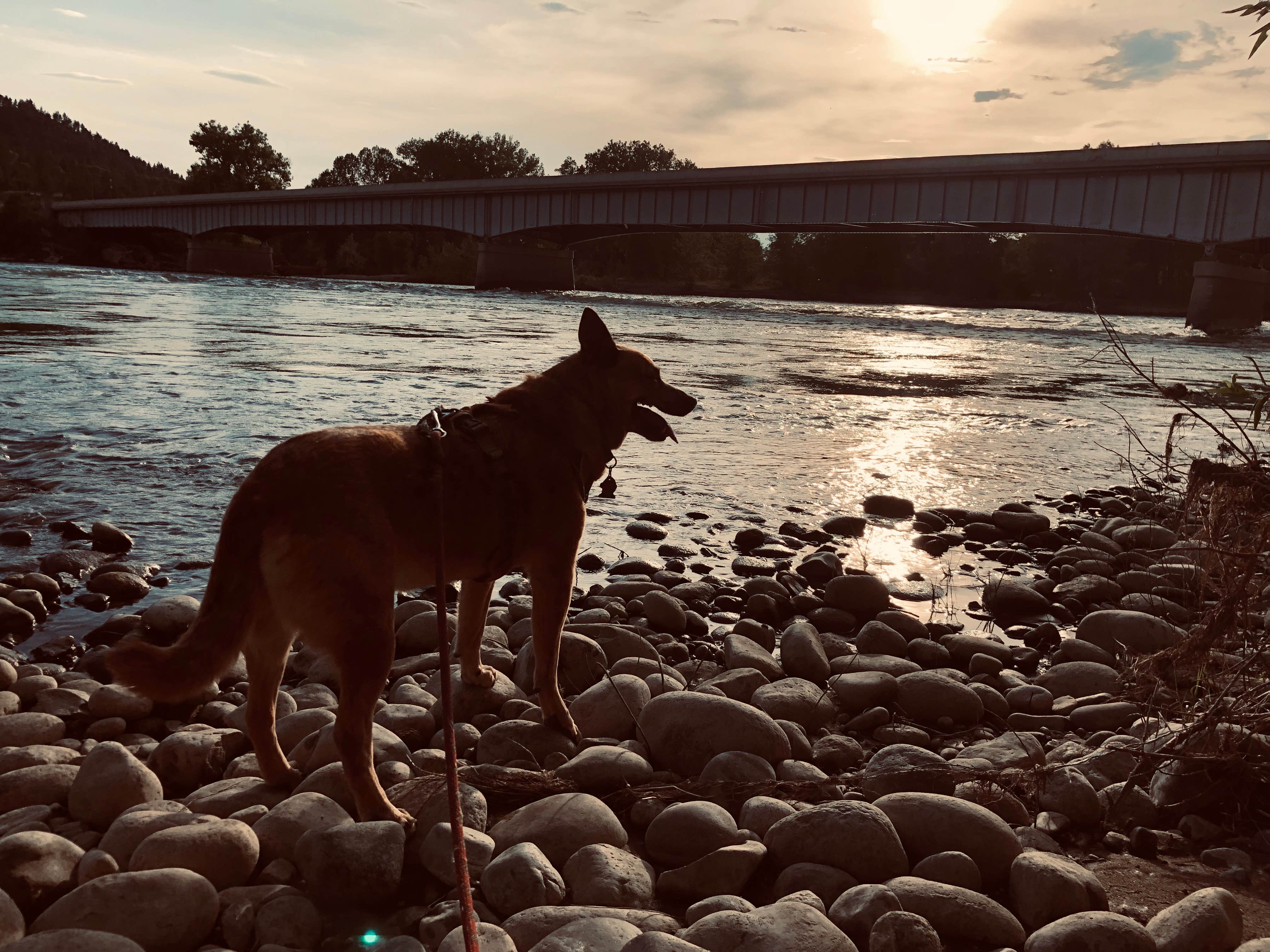 Art S.'s photo of camping with pets at Itch-Kep-Pe Park near Greycliff, MT