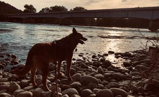 Art S.'s photo of camping with pets at Itch-Kep-Pe Park near Acton, MT