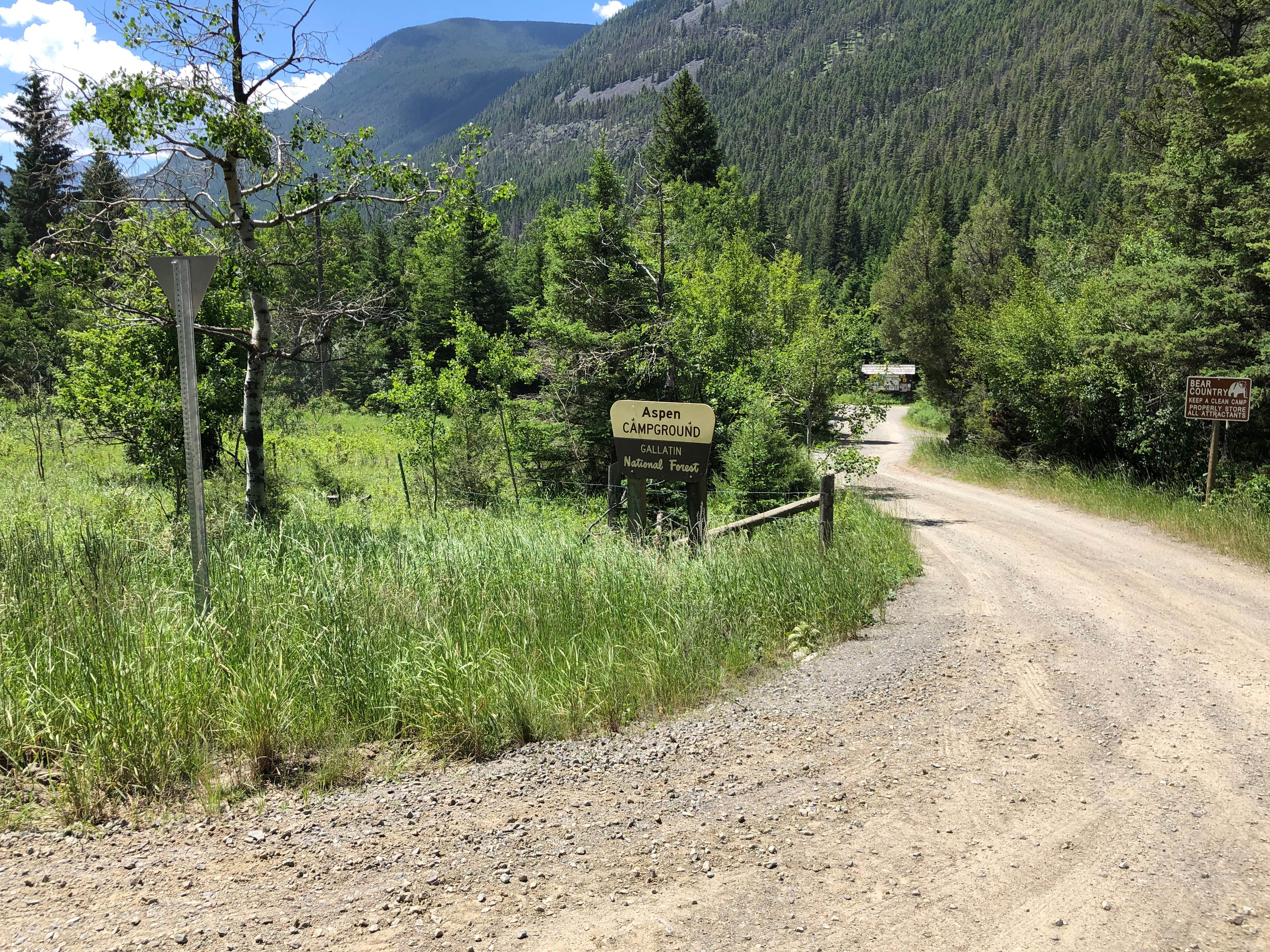 Aspen's Embrace: Where Mountains Meet Magic at Colorado's Aspen Campground