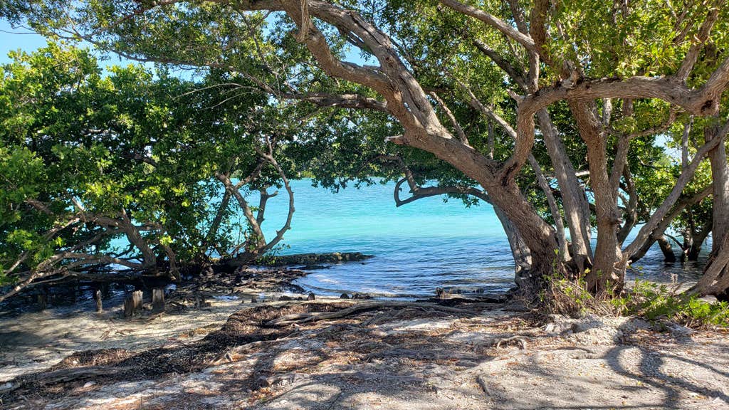 Camper-submitted photo at Boca Chita Key — Biscayne National Park near Biscayne National Park