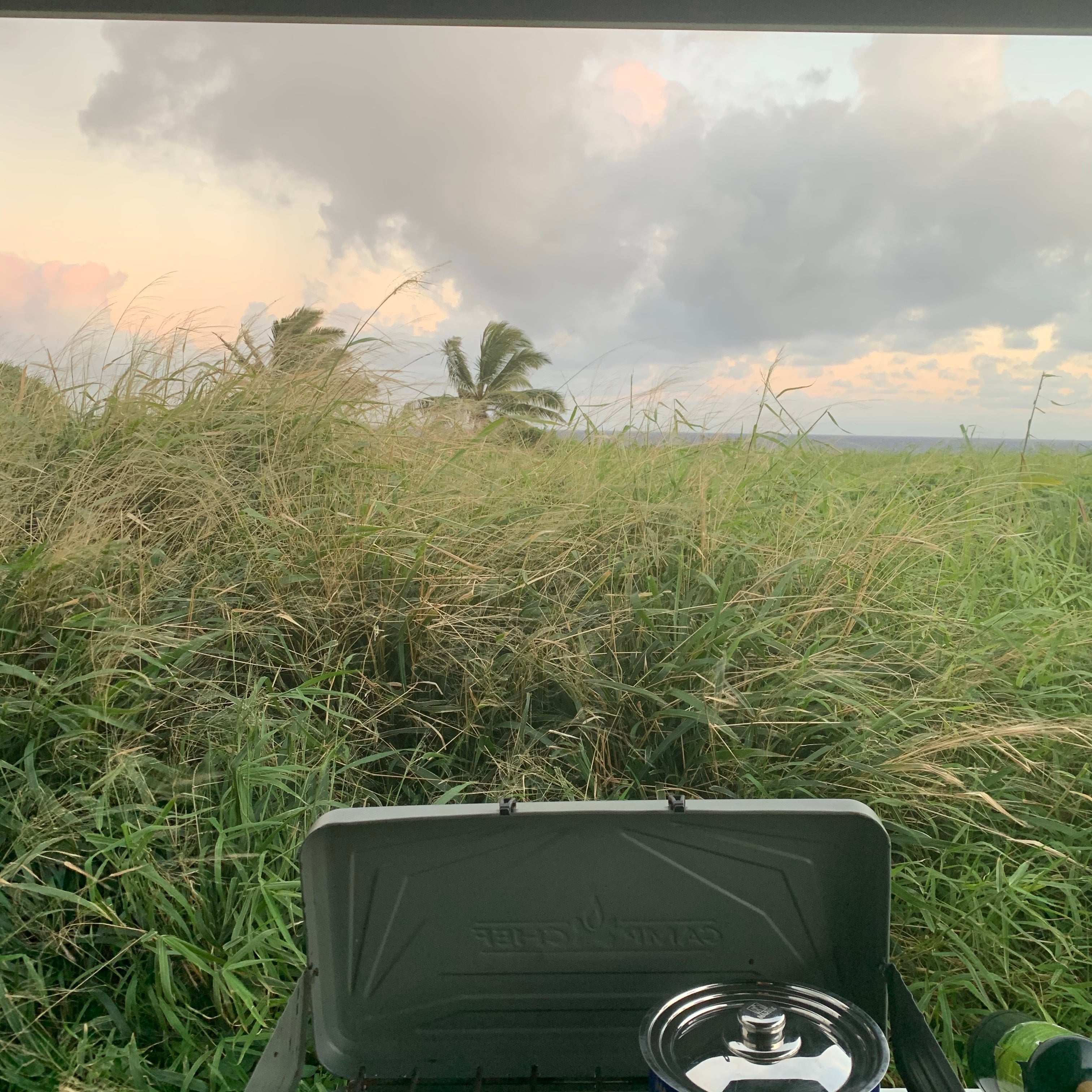 Camper submitted image from Kīpahulu Campground — Haleakalā National Park - 1