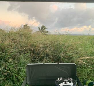 Camper-submitted photo from Kīpahulu Campground — Haleakalā National Park
