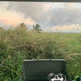 Review photo of Kīpahulu Campground — Haleakalā National Park by Shane G., February 27, 2020