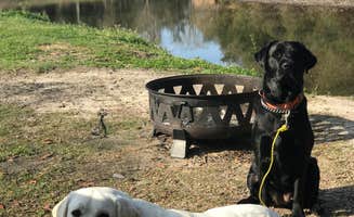 Rebecca H.'s photo of camping with pets at McLeod Park Campground near Gulfport, MS