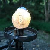 Review photo of Amicalola Falls State Park Camping by Dave V., September 1, 2017