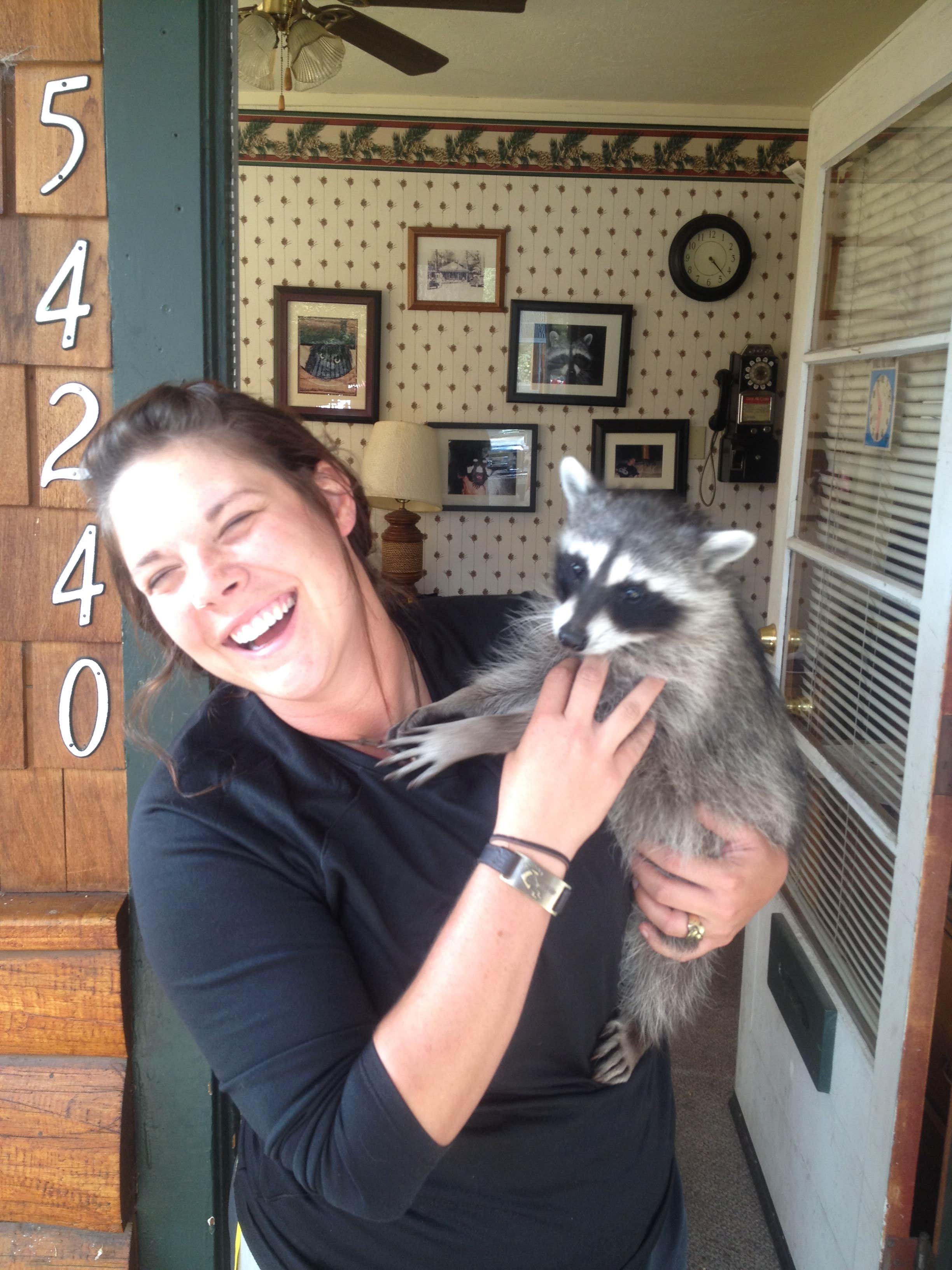 Hayley K.'s photo of camping with pets at Idyllwild Campground — Mount San Jacinto State Park near Aguanga, CA