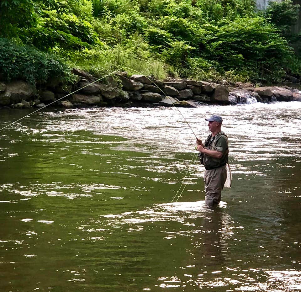 Camper-submitted photo at Buck Hill Campground near Linville Falls, NC