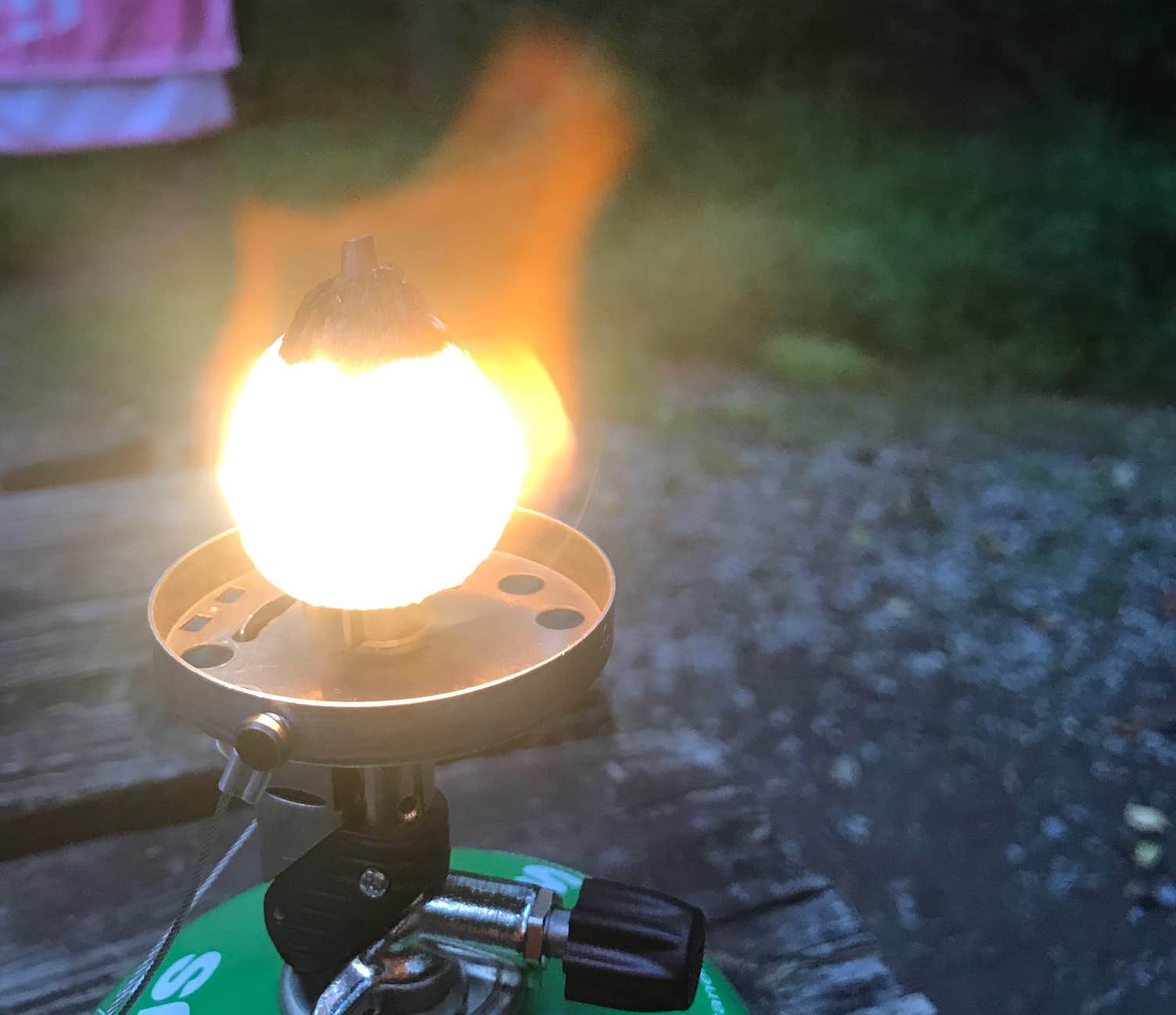 Camper submitted image from Amicalola Falls State Park Camping - 4