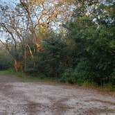 Review photo of Mitchell Landing Campground — Big Cypress National Preserve by Jean C., February 28, 2020