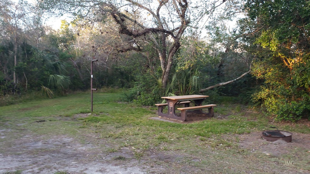 Camper submitted image from Mitchell Landing Campground — Big Cypress National Preserve - 3