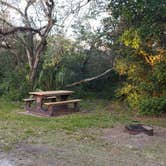 Review photo of Mitchell Landing Campground — Big Cypress National Preserve by Jean C., February 28, 2020