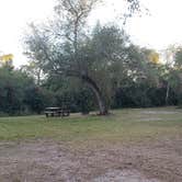 Review photo of Mitchell Landing Campground — Big Cypress National Preserve by Jean C., February 28, 2020