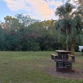 Review photo of Mitchell Landing Campground — Big Cypress National Preserve by Jean C., February 28, 2020