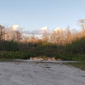 Review photo of Mitchell Landing Campground — Big Cypress National Preserve by Jean C., February 28, 2020