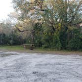 Review photo of Mitchell Landing Campground — Big Cypress National Preserve by Jean C., February 28, 2020