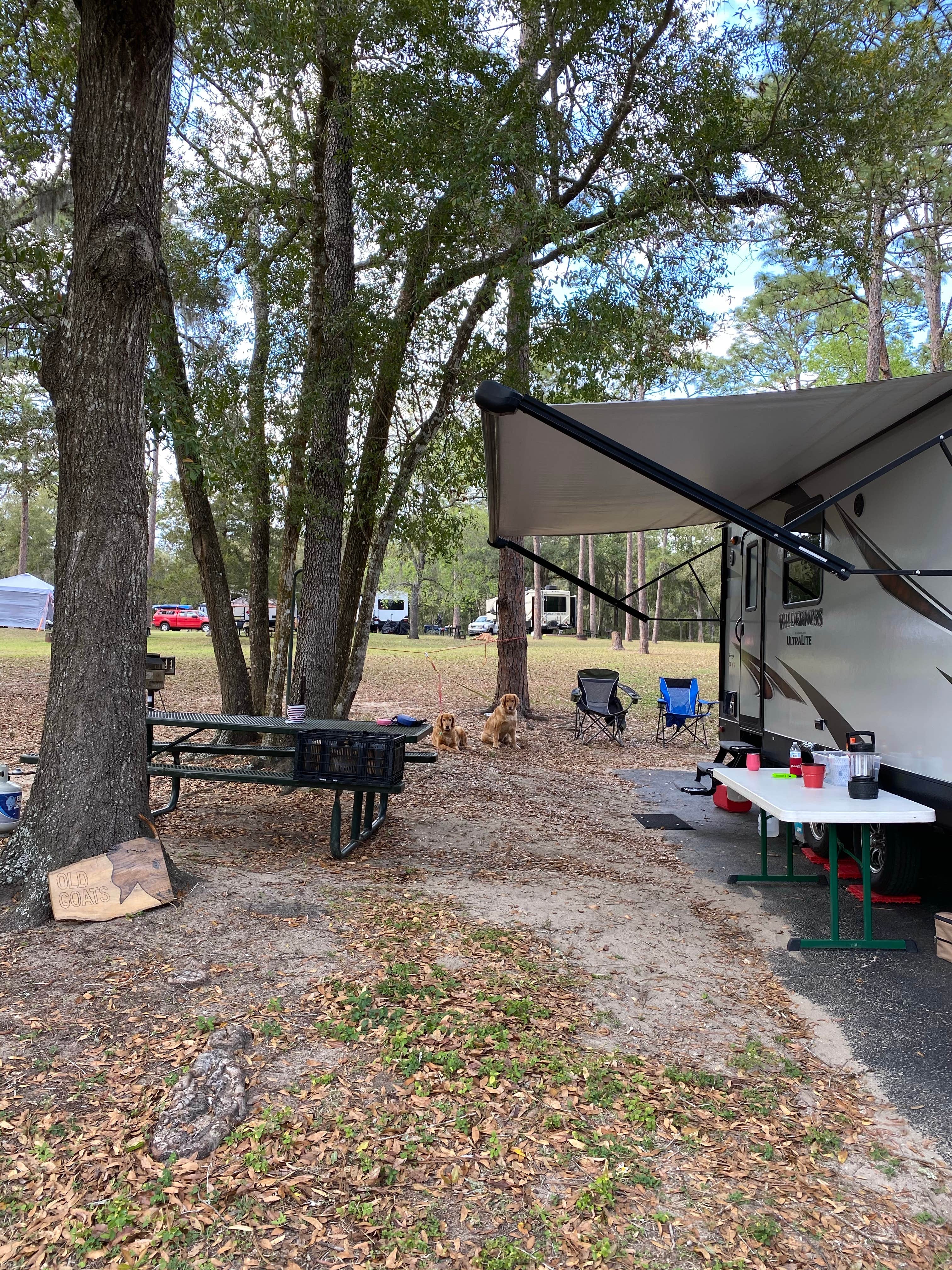 Liz H.'s photo at Salt Springs Recreation Area near National Forests in Florida