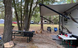 Liz H.'s photo at Salt Springs Recreation Area near National Forests in Florida