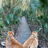 Review photo of Salt Springs Recreation Area by Liz H., February 28, 2020