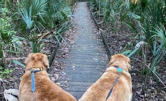 Liz H.'s photo of camping with pets at Salt Springs Recreation Area near Crescent City, FL