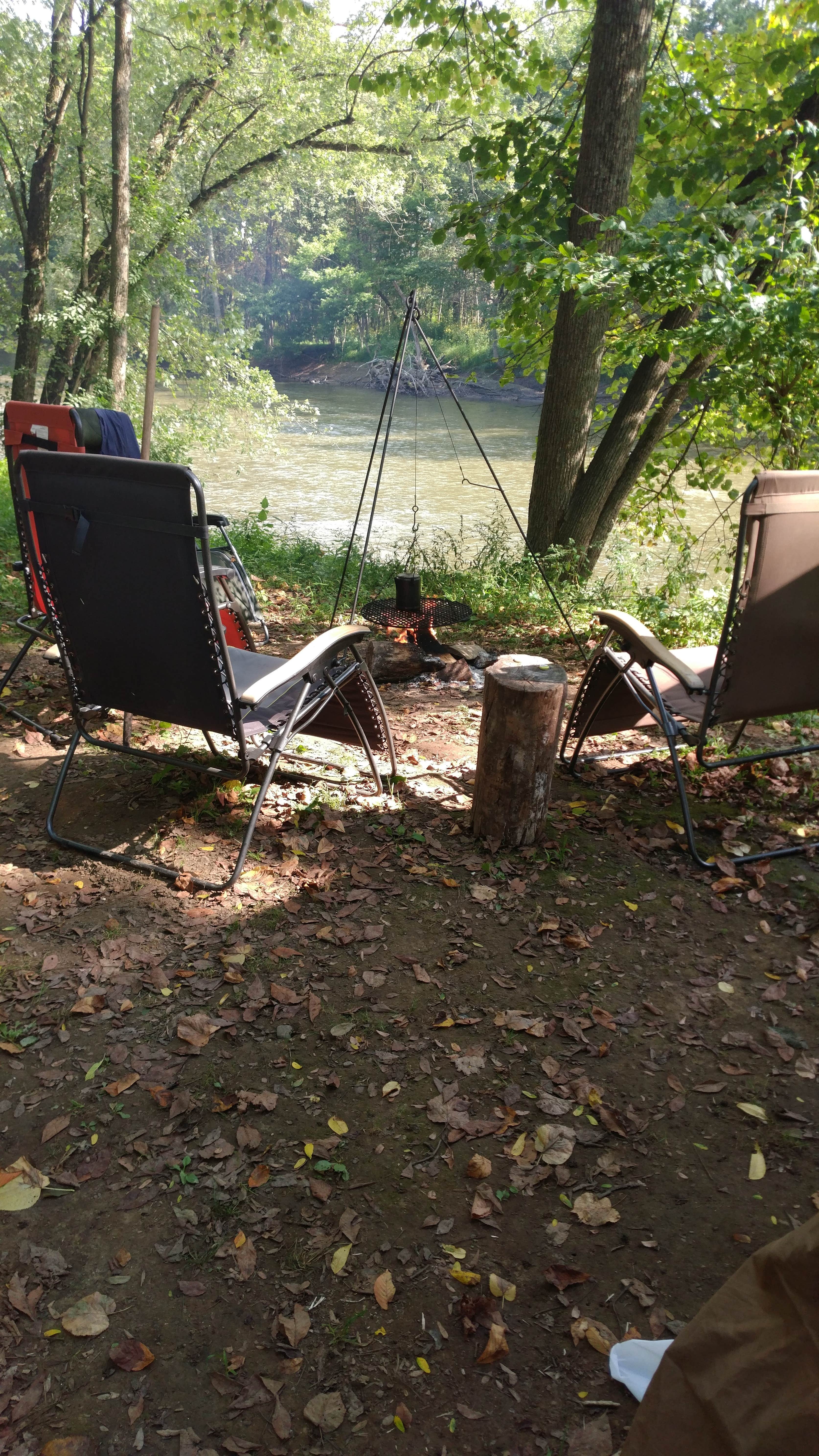 Camper submitted image from Mohican Wilderness - 4