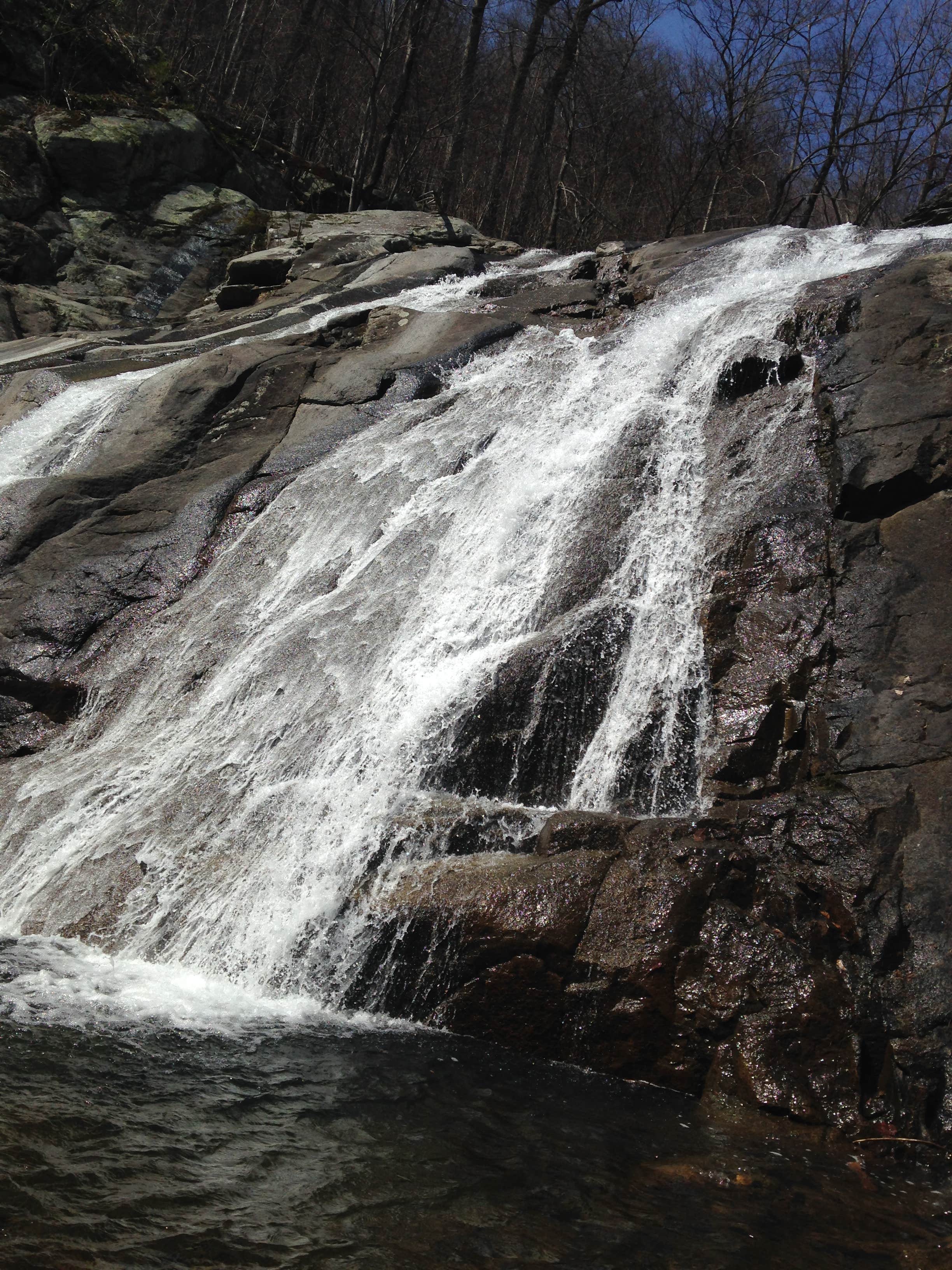 Camper submitted image from Shenandoah Hills Campground - 4