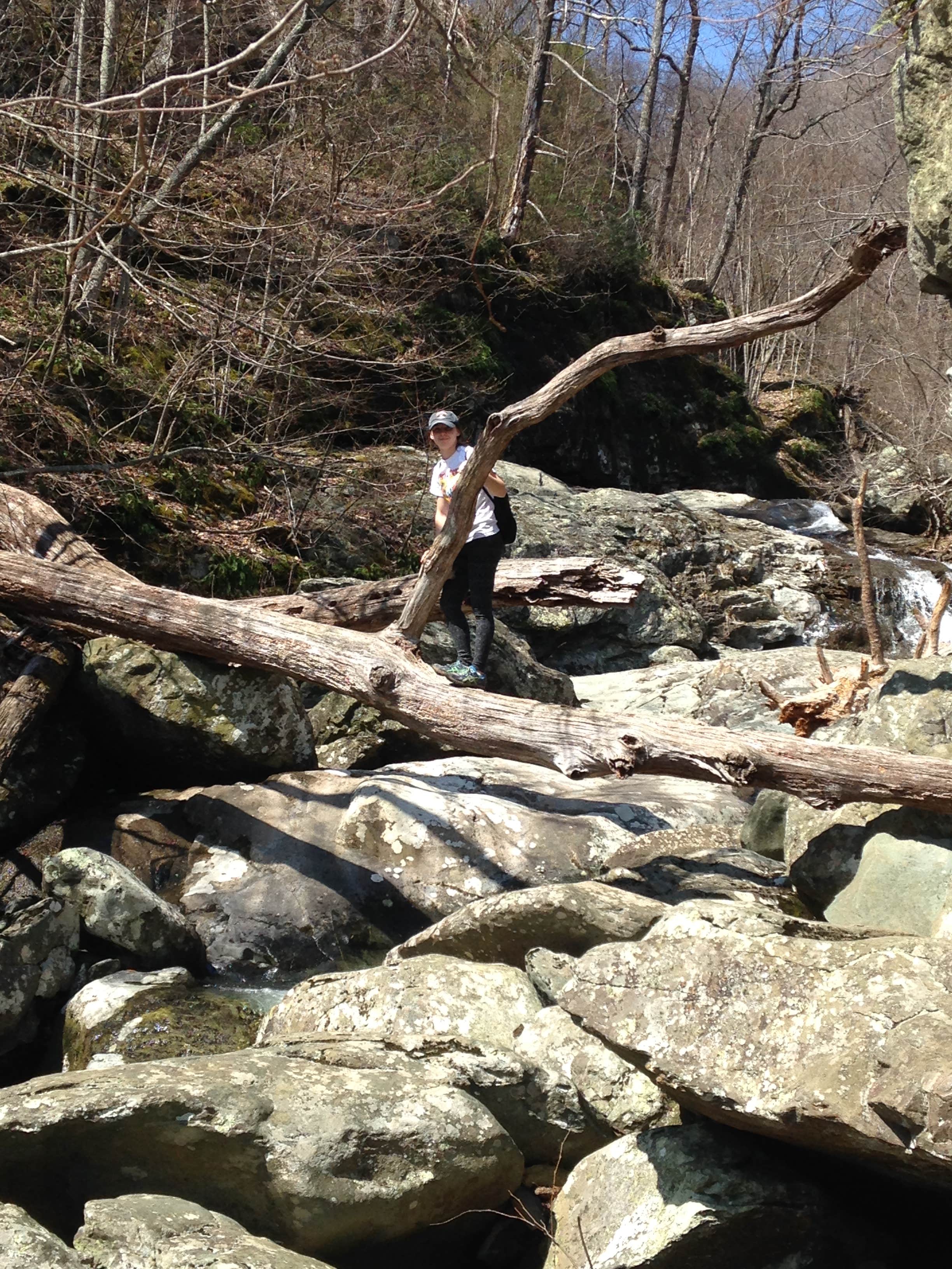 Camper-submitted photo at Madison Vines RV Resort & Cottages near Flint Hill, VA