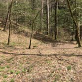 Review photo of Sipsey Wilderness Backcountry Site (Trail 200 Site D) by Asher K., February 28, 2020