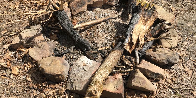 Camper submitted image from Sipsey Wilderness Backcountry Site (Trail 200 Site D)