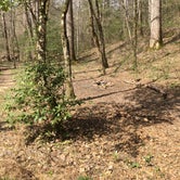 Review photo of Sipsey Wilderness Backcountry Site (Trail 200 Site D) by Asher K., February 28, 2020