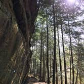 Review photo of Sipsey Wilderness Backcountry Site (Trail 200 Site D) by Asher K., February 28, 2020