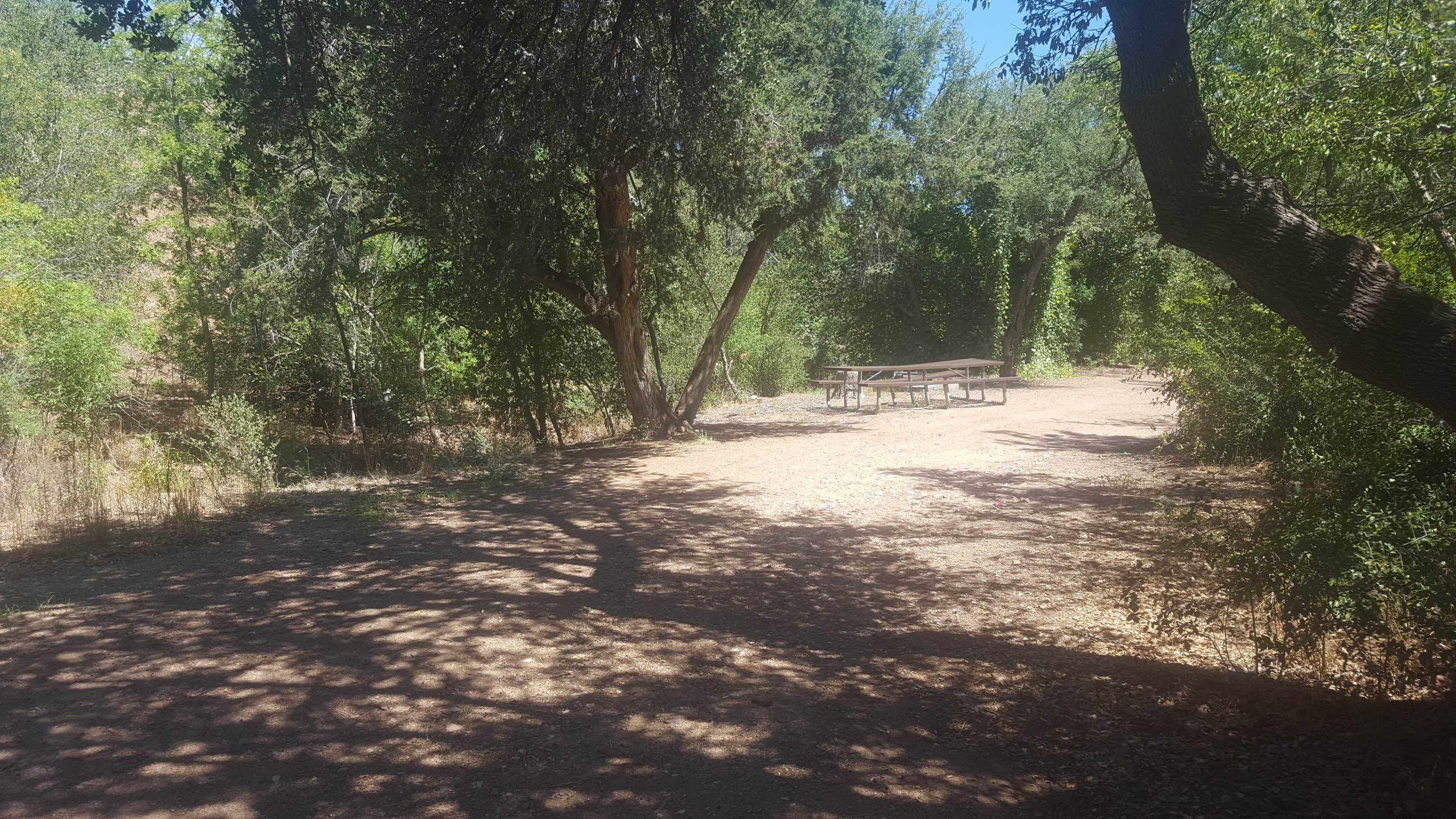 Camper submitted image from Jones Water Campground - 3