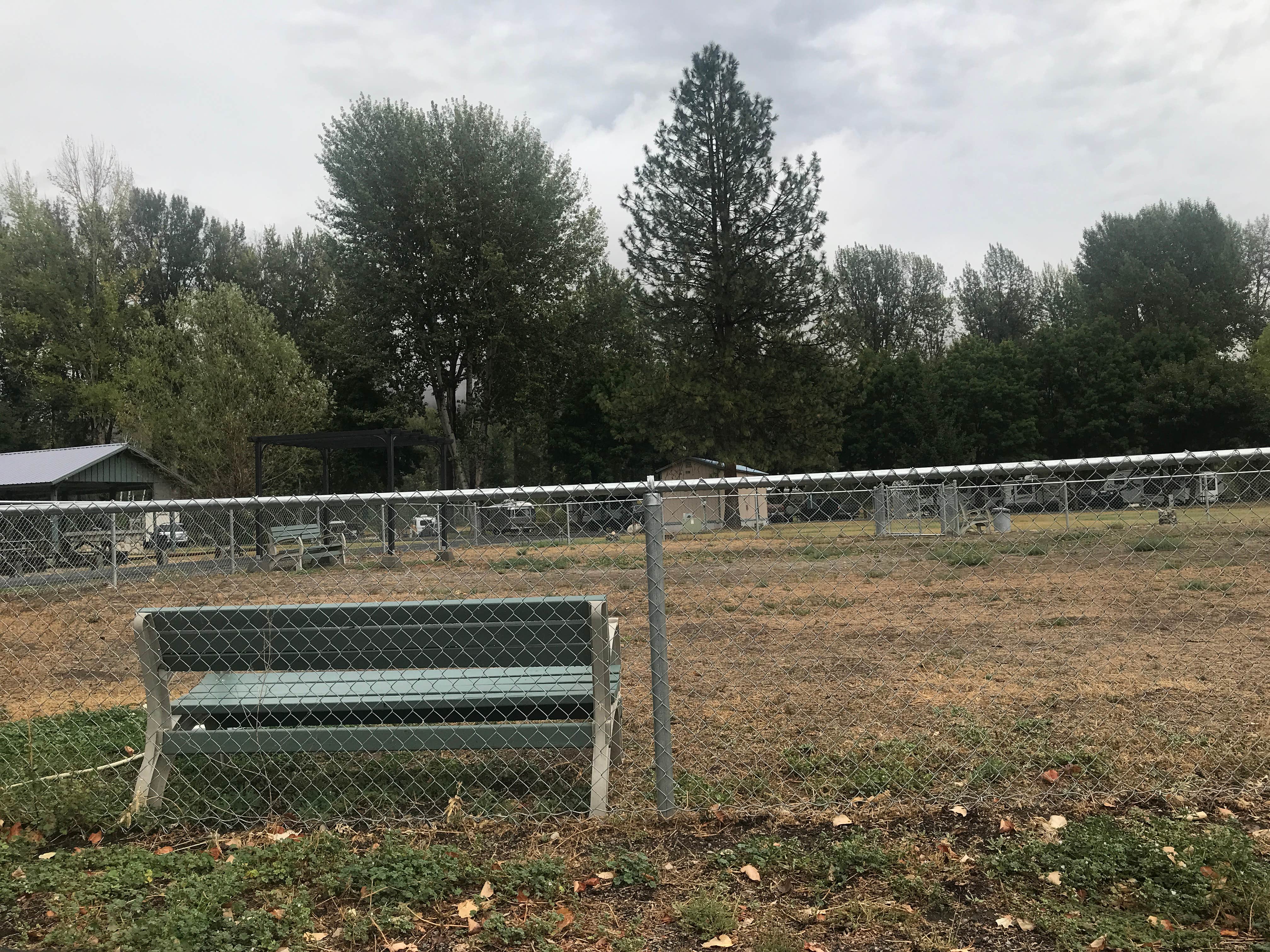Camper submitted image from Riverbend RV Park - 3