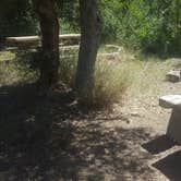 Review photo of Jones Water Campground by Krista Z., September 1, 2017